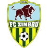 Drapeau de WFC ZIMBRU